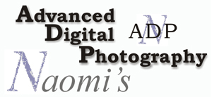 Naomi's Advanced Digital Photography
